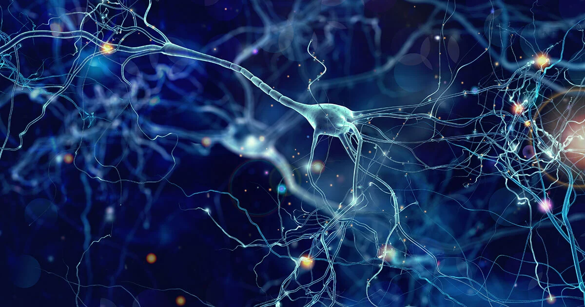 Imagen: ¿Qué es la inteligencia artificial (IA)?